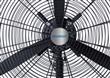 Ventilador de pie Peabody PE-VI260M 26" Outlet